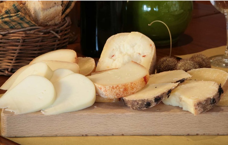 Guided tour: Arezzo and Pecorino cheese Guided tour: Arezzo and Pecorino cheese