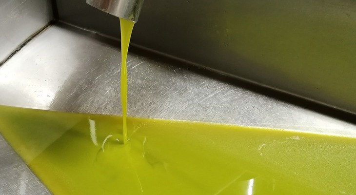 Tuscany olive oil pressing