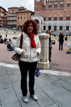 Private guided walking tour of Siena, Tuscany