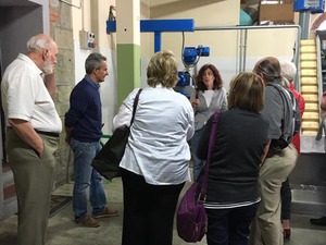 private guided tour of Cortona oil mill, Tuscany