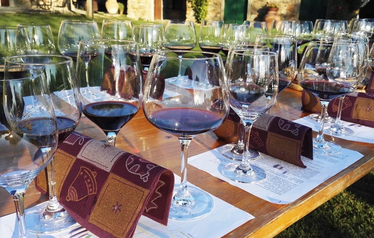 Guided wine tasting in villa: Tuscany famous wines