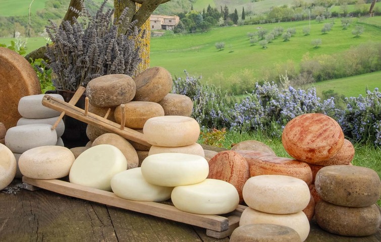 Guided tour: Pienza and Pecorino cheese