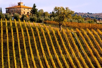 Get married in Chianti