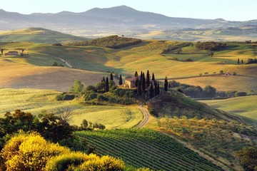 Marry in Val D'Orcia